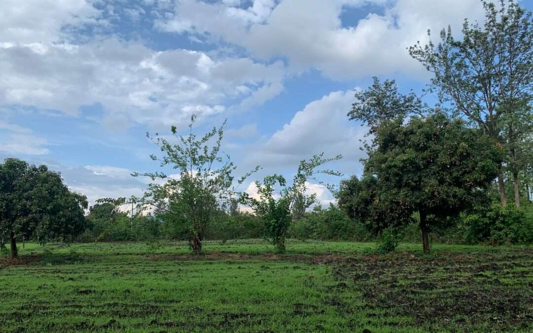 Prime 1 acre Freehold land for sale in Sagana near the Highway
